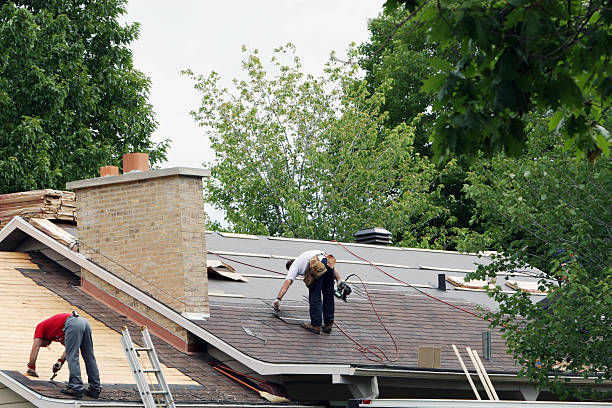 Best Roof Gutter Cleaning  in Kensett, AR